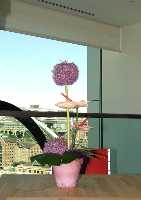 Balt_Viewbox_Flower