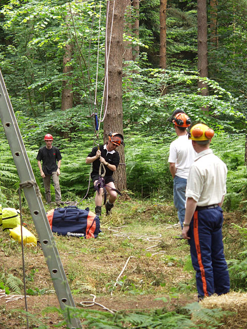 Chop_Swing_in_the_Woods